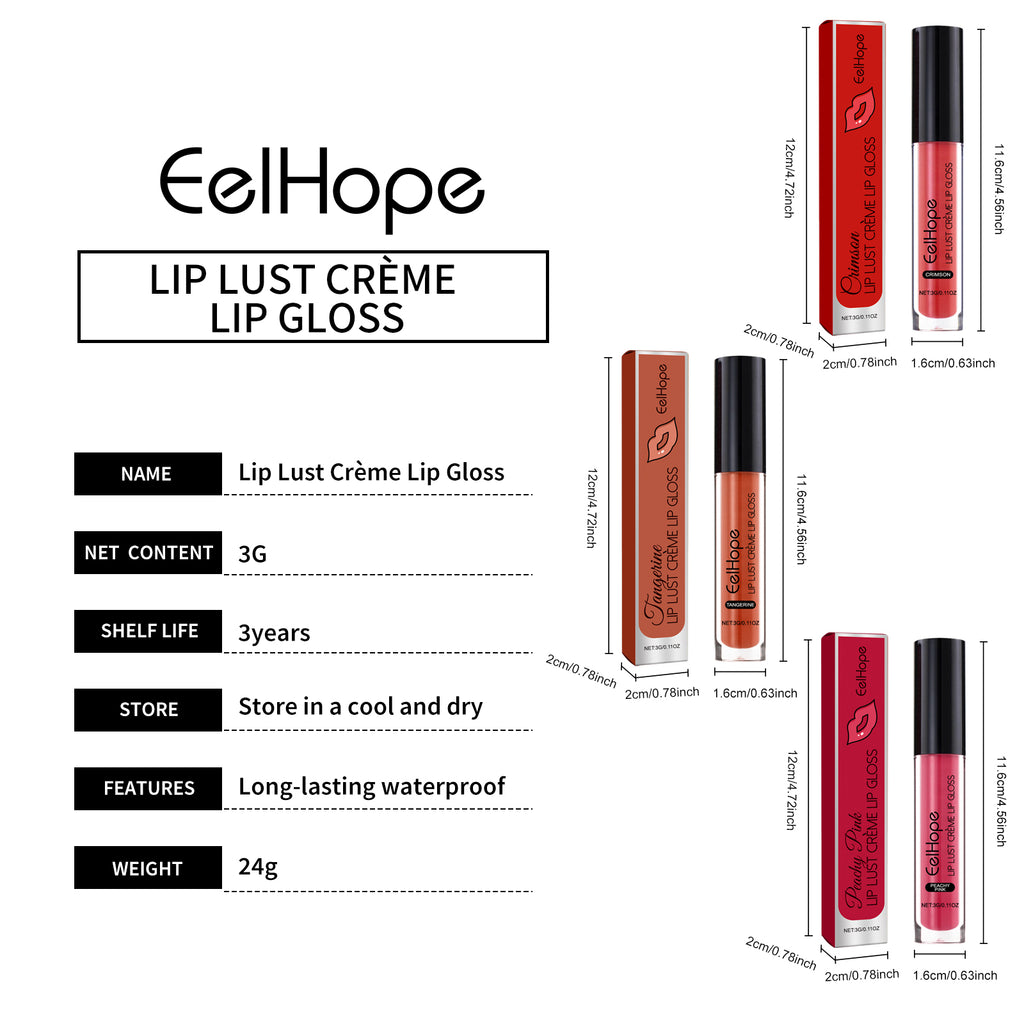 Lip Lacquer - Product with box